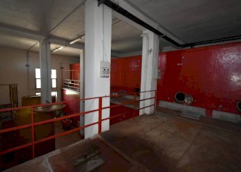 Foto 21 - Azienda agricola Roma
 
8, Rovescala - foto 21