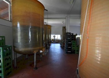 Foto 22 - Azienda agricola Roma
 
8, Rovescala - foto 22