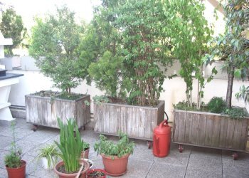 Foto 43 - Casa semi indipendente VIA PAOLO ANDREANI
 
66, Brugherio - foto 43