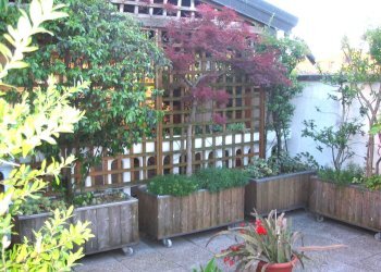 Foto 44 - Casa semi indipendente VIA PAOLO ANDREANI
 
66, Brugherio - foto 44