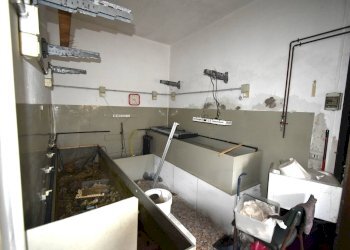 Foto 21 - Villa roma
 
45-47, Bernareggio - photo 21