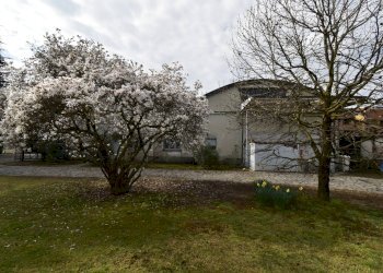 Foto 31 - Villa roma
 
45-47, Bernareggio - photo 31