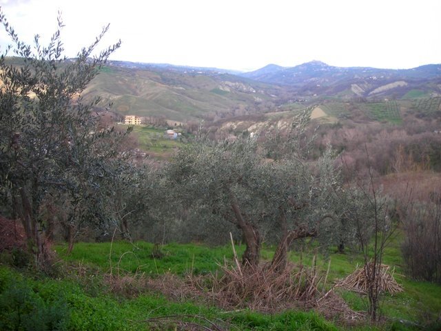 Foto 3 - Casa indipendente Via Lago di Ciommo, Roccamontepiano - foto 3