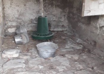 Foto 11 - Independent house Via Lago di Ciommo, Roccamontepiano - photo 11