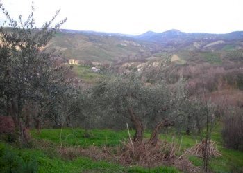 Foto 12 - Independent house Via Lago di Ciommo, Roccamontepiano - photo 12