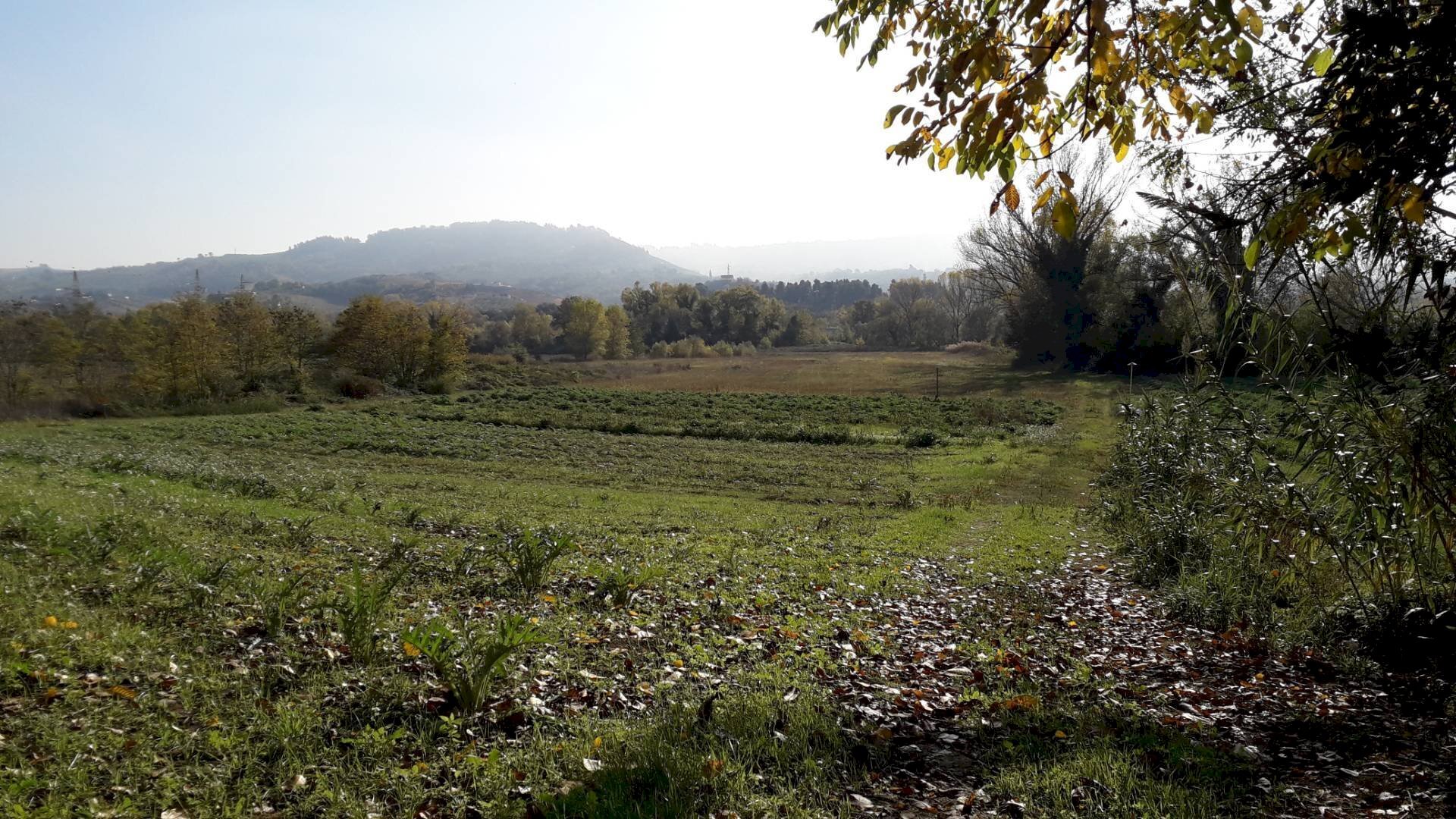Foto 3 - Agricultural land Via Piemonte, Cepagatti - photo 3