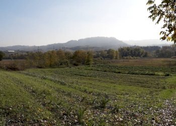 Foto 2 - Agricultural land Via Piemonte, Cepagatti - photo 2