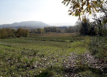 Foto 3 - Agricultural land Via Piemonte, Cepagatti - photo 3