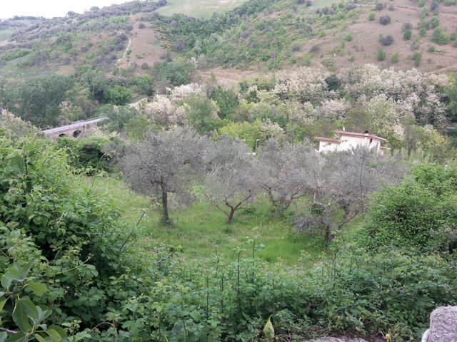 Foto 3 - Terreno edificabile Manoppello - foto 3