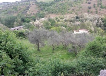 Foto 3 - Terreno edificabile Manoppello - foto 3