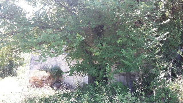 Foto 3 - Building land Contrada Colle Serra, Serramonacesca - photo 3