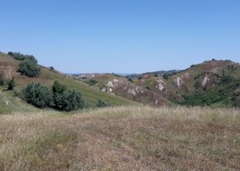 Foto 4 - Terreno edificabile Contrada Colle Serra, Serramonacesca - foto 4