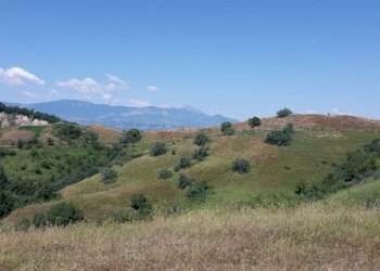 Foto 5 - Terreno edificabile Contrada Colle Serra, Serramonacesca - foto 5