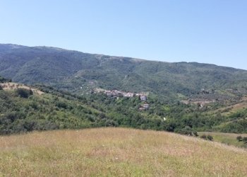 Foto 6 - Terreno edificabile Contrada Colle Serra, Serramonacesca - foto 6