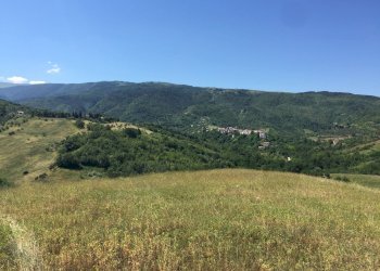 Foto 7 - Terreno edificabile Contrada Colle Serra, Serramonacesca - foto 7