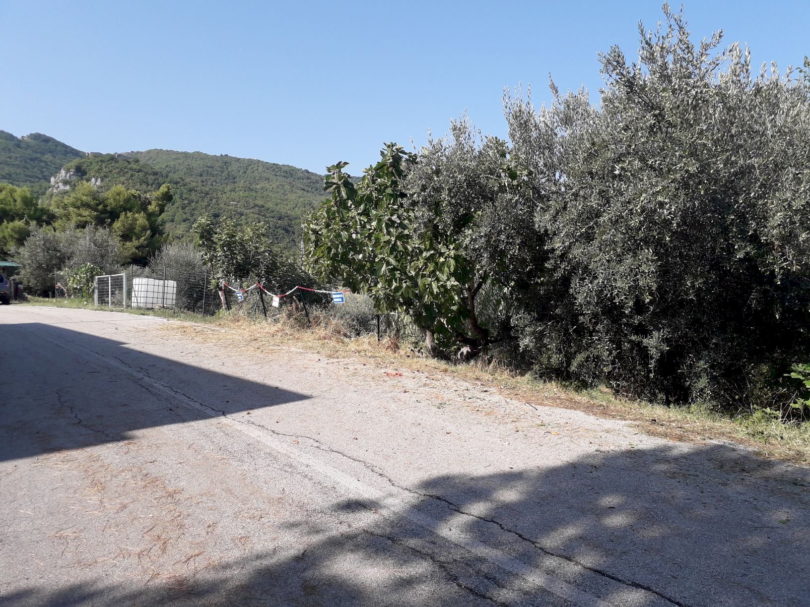 Foto 3 - Agricultural land Via Di Resta, Serramonacesca - photo 3