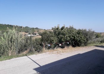 Foto 2 - Terreno agricolo Via Di Resta, Serramonacesca - foto 2