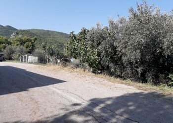 Foto 3 - Terreno agricolo Via Di Resta, Serramonacesca - foto 3