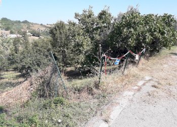 Foto 5 - Terreno agricolo Via Di Resta, Serramonacesca - foto 5