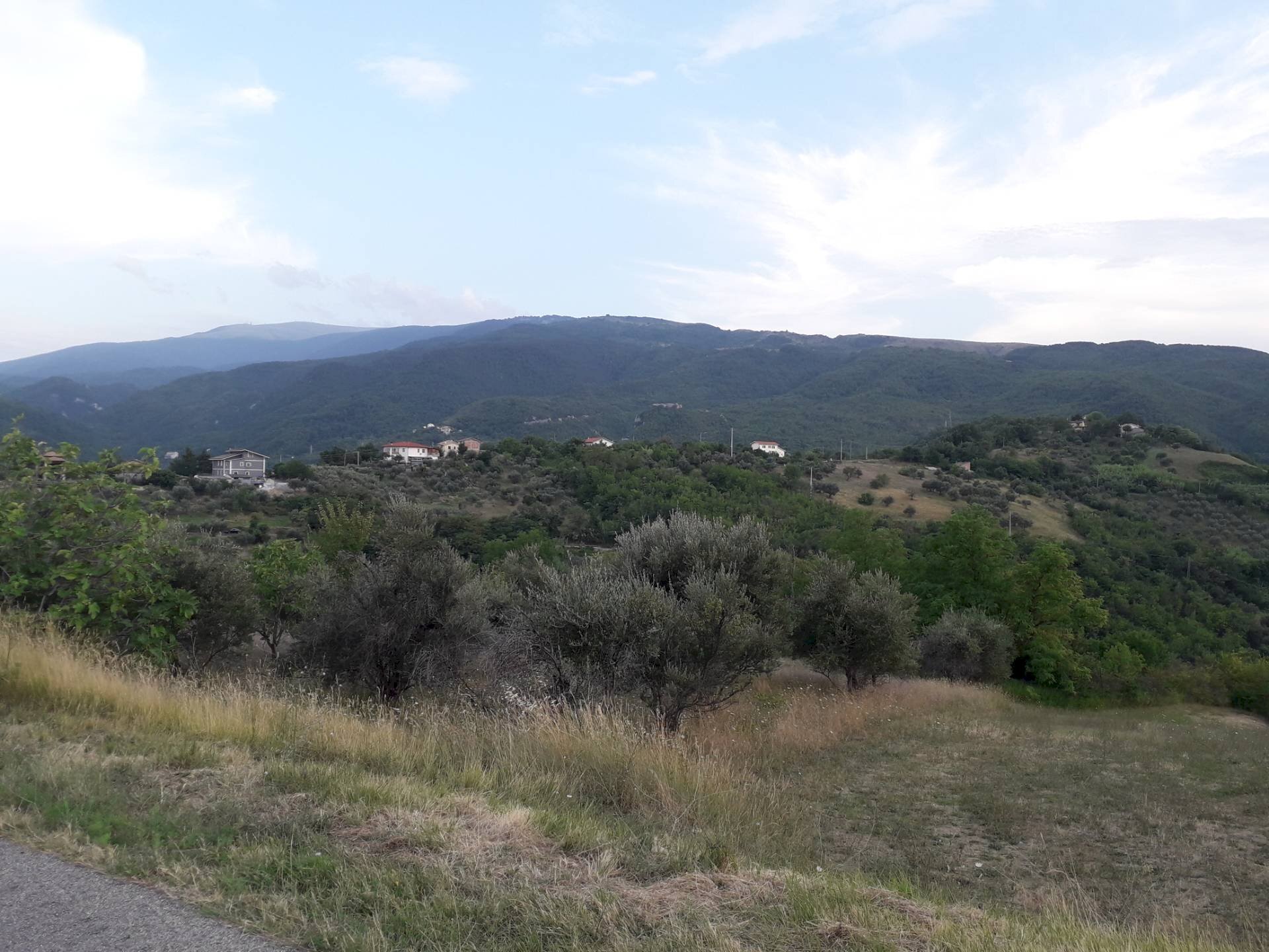 Foto 1 - Terreno agricolo Contrada San Gennaro, Serramonacesca - foto 1