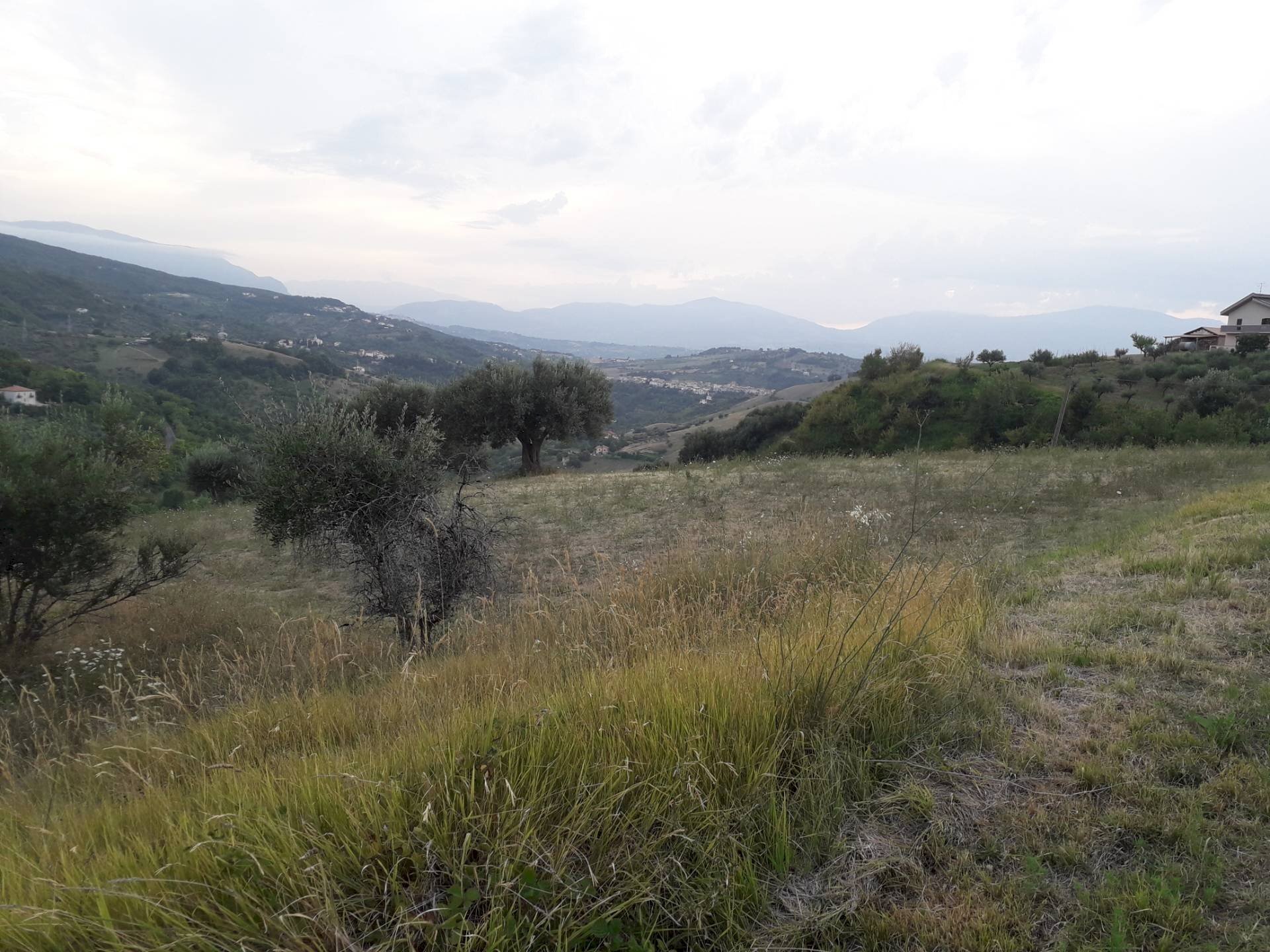 Foto 2 - Terreno agricolo Contrada San Gennaro, Serramonacesca - foto 2