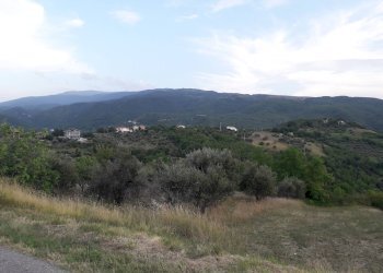 Foto 1 - Terreno agricolo Contrada San Gennaro, Serramonacesca - foto 1