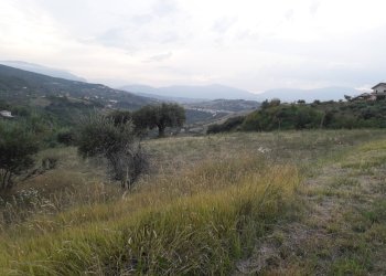 Foto 2 - Terreno agricolo Contrada San Gennaro, Serramonacesca - foto 2