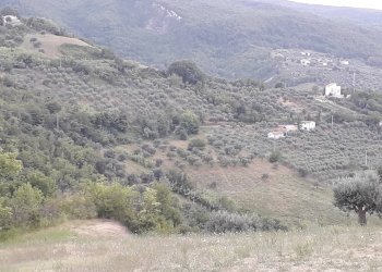 Foto 3 - Terreno agricolo Contrada San Gennaro, Serramonacesca - foto 3