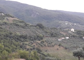 Foto 4 - Terreno agricolo Contrada San Gennaro, Serramonacesca - foto 4