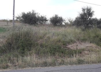 Foto 6 - Terreno agricolo Contrada San Gennaro, Serramonacesca - foto 6