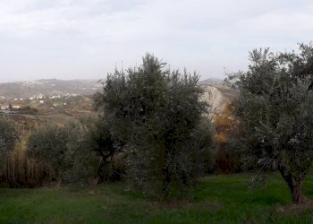 Foto 3 - Casa indipendente Via Roma, Roccamontepiano - foto 3