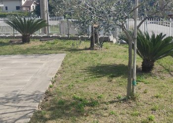 Foto 18 - Locale Commerciale SAN CASSIANO, Alanno - foto 18