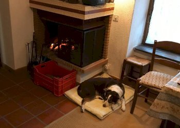 Foto 8 - Casa indipendente Contrada Brecciarola, Serramonacesca - foto 8