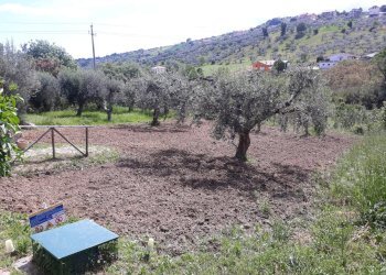 Foto 17 - Independent house Contrada Pozzo Nuovo, Bucchianico - photo 16