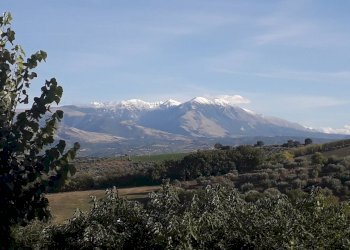 Foto 18 - Casa indipendente Via della Libertà, Cugnoli - foto 18