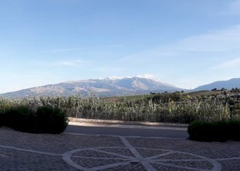 Foto 11 - Casa indipendente Via della Libertà, Cugnoli - foto 11