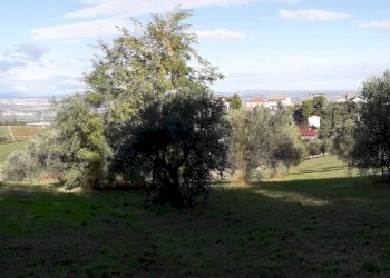 Foto 3 - Terreno edificabile Via Coppelli, Casalincontrada - foto 3