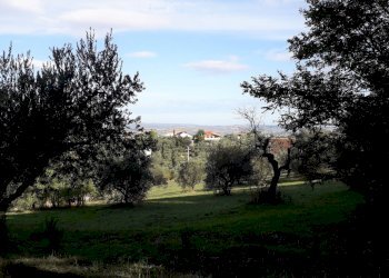 Foto 4 - Terreno edificabile Via Coppelli, Casalincontrada - foto 4