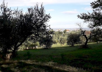 Foto 5 - Terreno edificabile Via Coppelli, Casalincontrada - foto 5