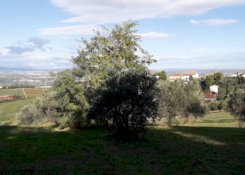 Foto 6 - Terreno edificabile Via Coppelli, Casalincontrada - foto 6