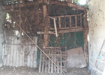 Foto 10 - Casa indipendente Via San Silvestro, San Martino sulla Marrucina - foto 10