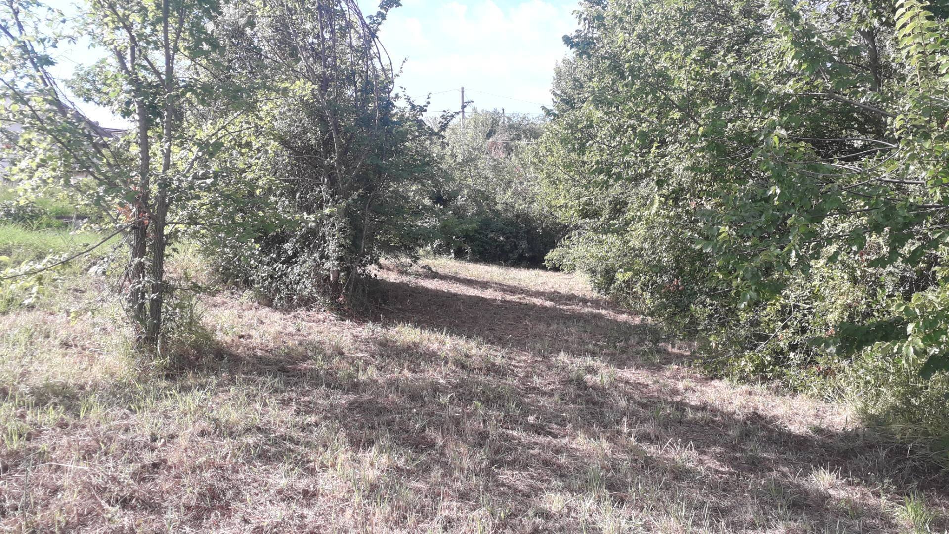 Foto 3 - Building land Via Alessandrini, Scafa - photo 3