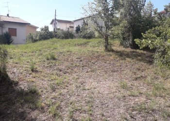 Foto 2 - Terreno edificabile Via Alessandrini, Scafa - foto 2