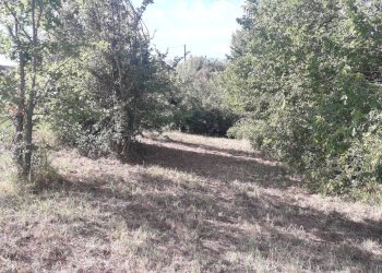 Foto 3 - Terreno edificabile Via Alessandrini, Scafa - foto 3