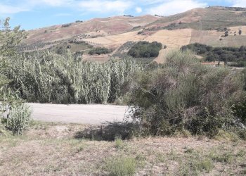 Foto 4 - Terreno edificabile Via Alessandrini, Scafa - foto 4