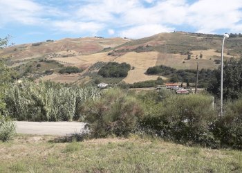 Foto 7 - Terreno edificabile Via Alessandrini, Scafa - foto 7