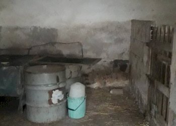 Foto 12 - Casa indipendente Via Fraticelli, Alanno - foto 12