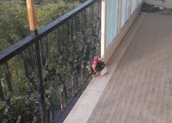 Foto 9 - Casa indipendente Via Sportello, Serramonacesca - foto 9