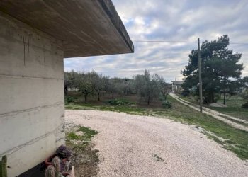 Foto 7 - Casa indipendente Rosciano - foto 7