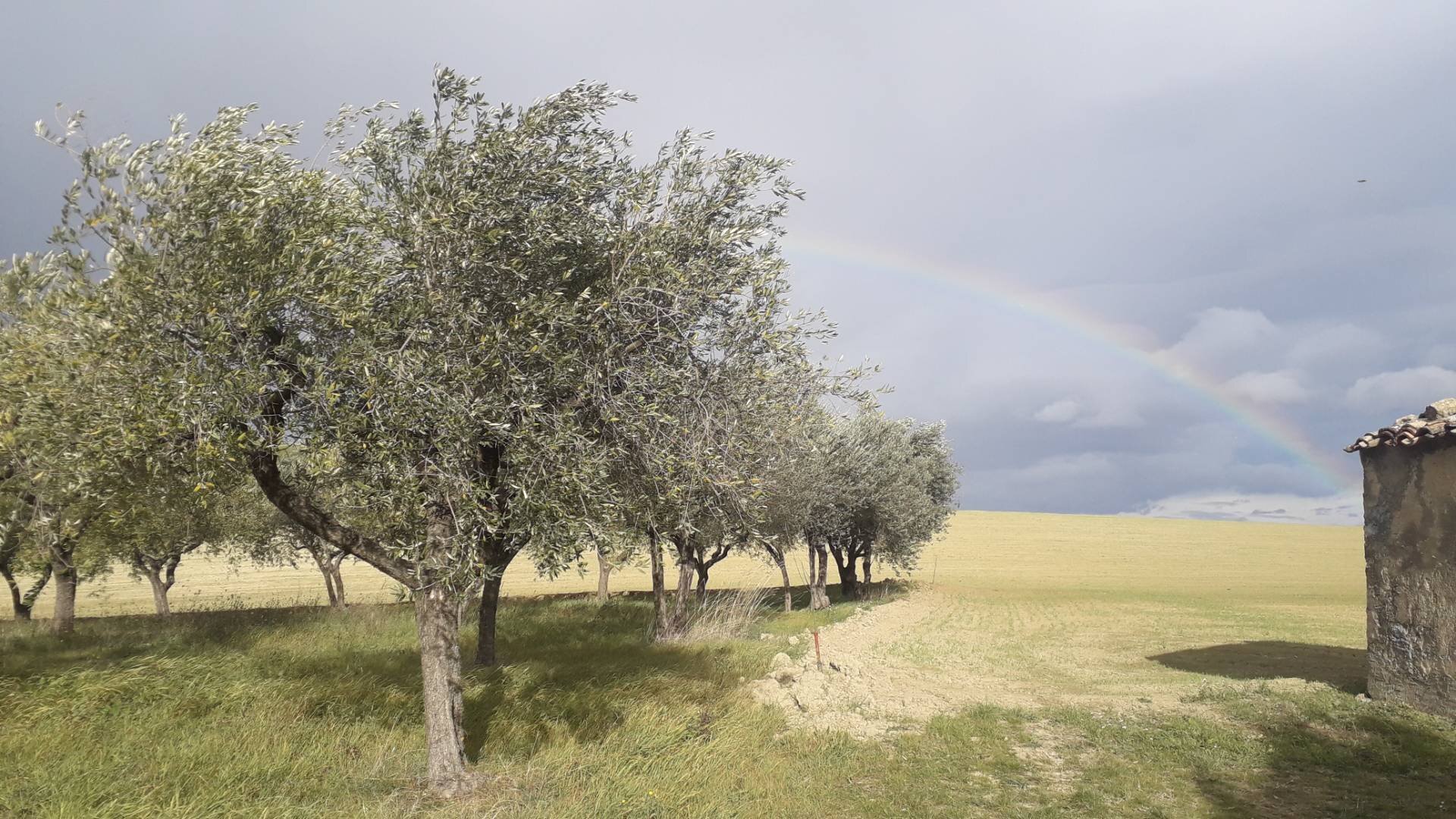 Foto 1 - Terreno agricolo Via S.Antonio, Alanno - foto 1
